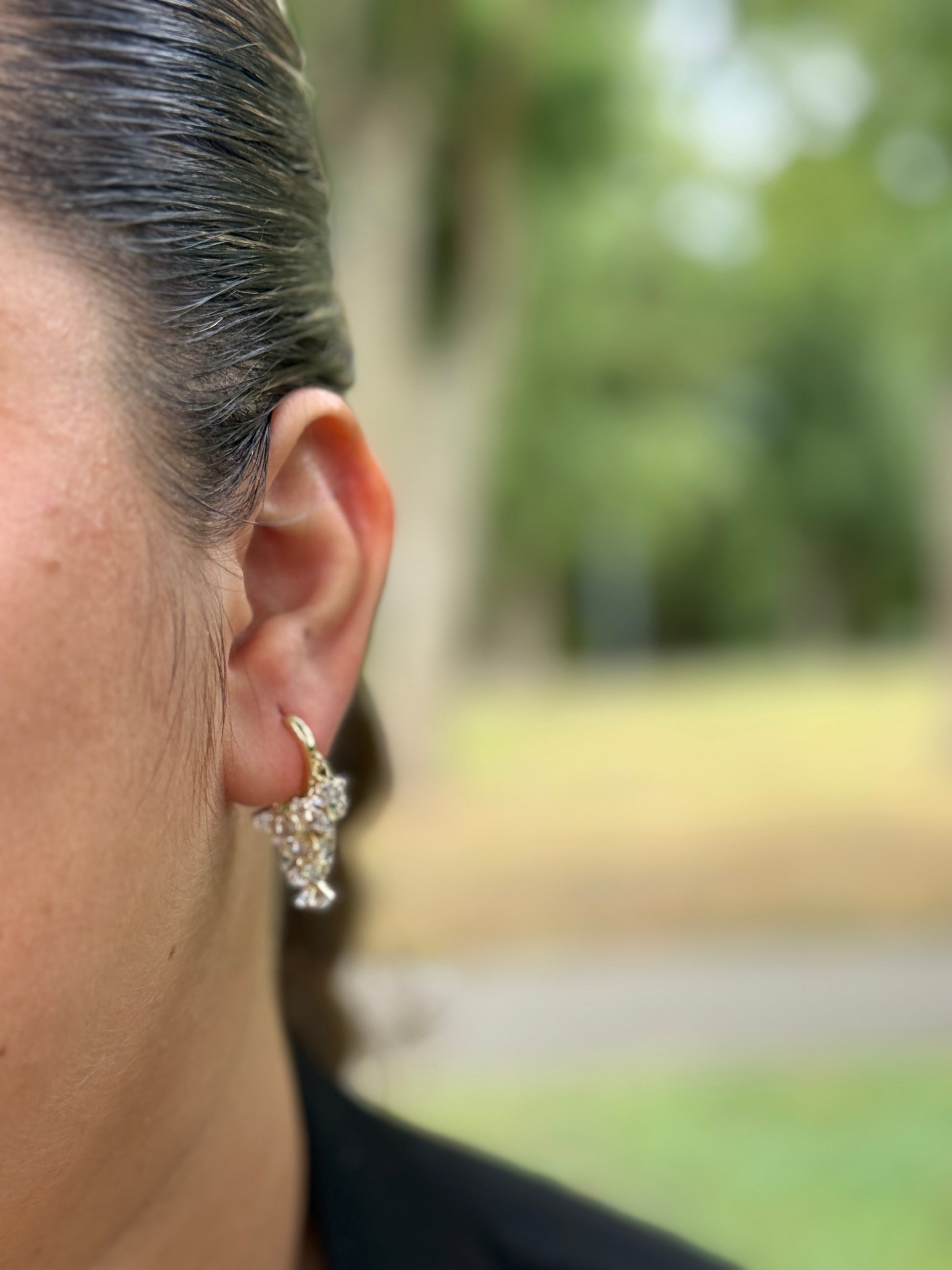 Druiventros Oorbellen met Kristallen – Staal - Lioraen - Sieraden