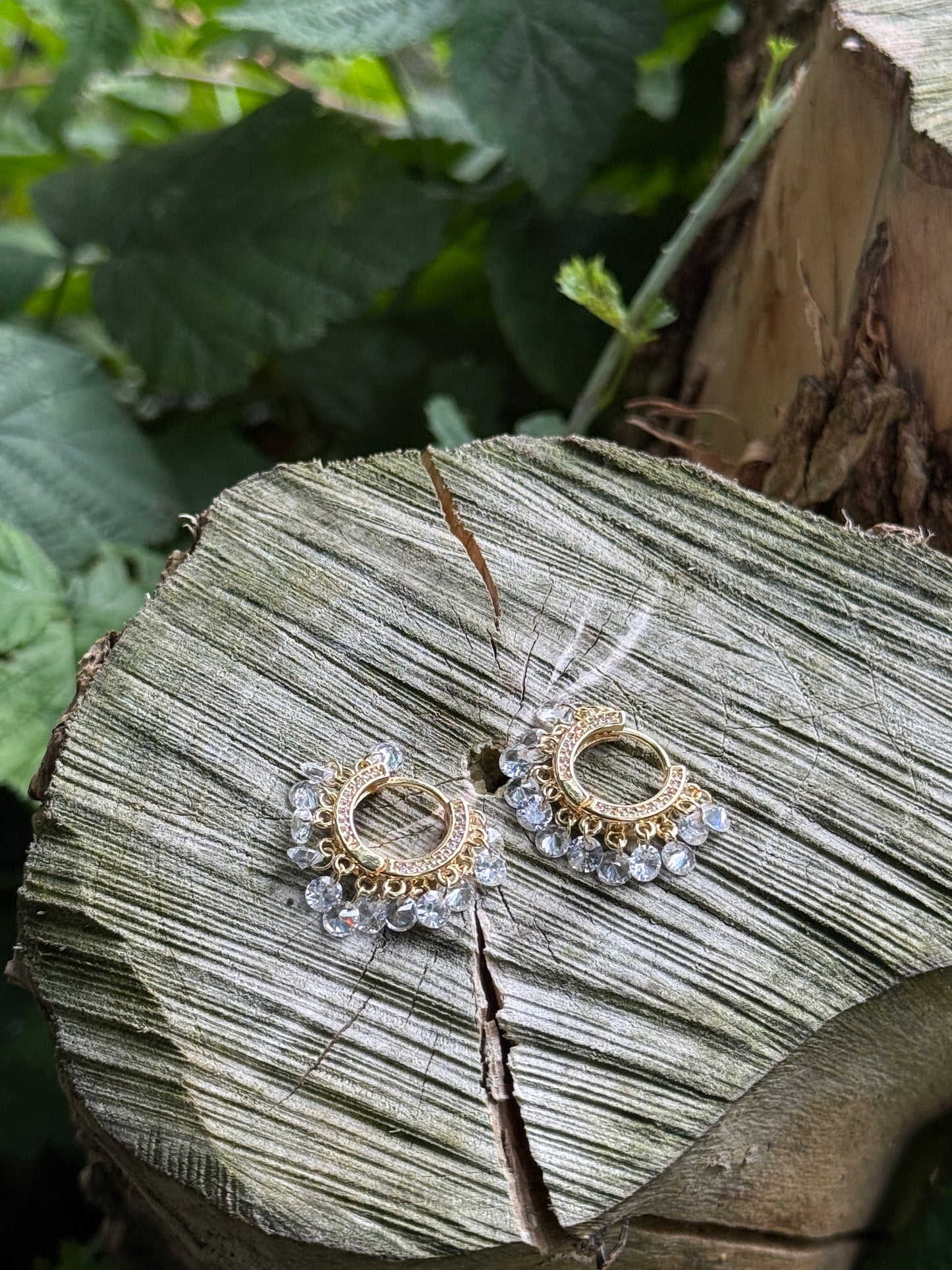 Transparante Kristallen Oorringen met Gouden Details – Staal - Lioraen - Sieraden